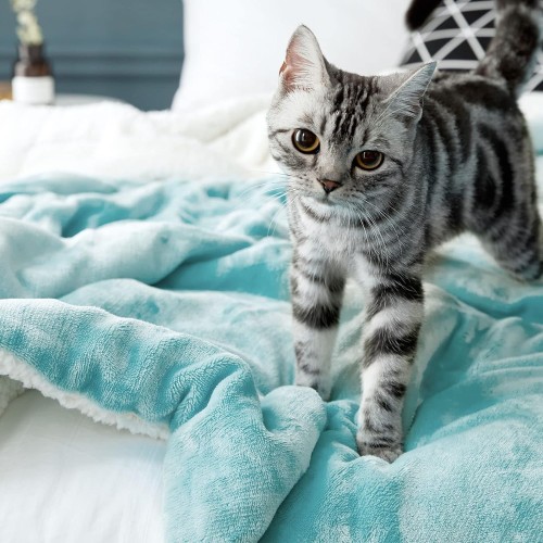 Sherpa Blanket Super Soft Plush Fluffy Reversible Luxury Blanket Extra Large 228.6 x 269.1 cm Teal